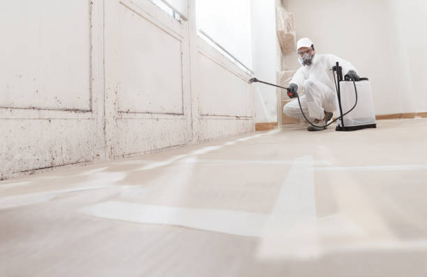 24/7 Emergency Mold Inspection experts in Middletown, VA